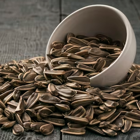 Alimento para animales
