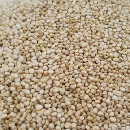 Quinoa blanca