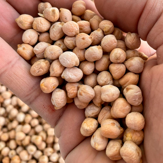 Garbanzos 8 mm