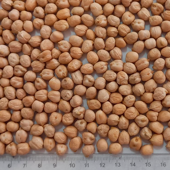 Garbanzos 7 mm